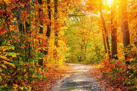 best fall foliage maryland|fall spots in maryland.